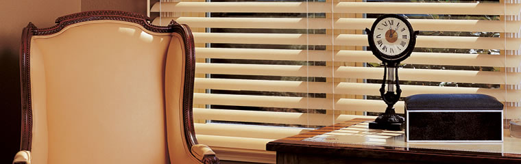 DECOR - BLINDS  WINDOW TREATMENTS - BLINDS  SHADES - AT THE HOME